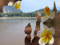 Previous